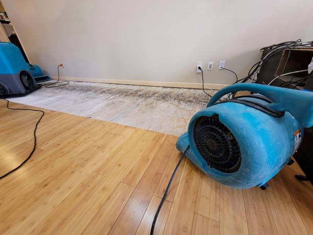 Professional Sewage Cleanup technician working in Newhall, IA